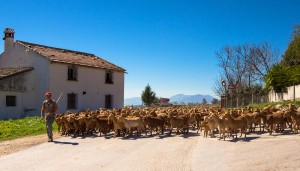 Best Mobile Holiday Home Park Spain